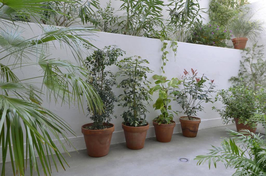 Art Gallery Apartment 리스본 객실 사진